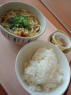 本日の昼食