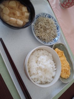 本日の朝食