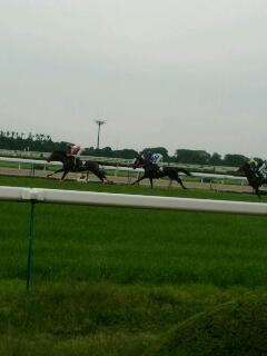 競馬観戦
