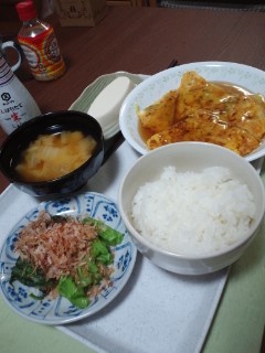 本日の夕食