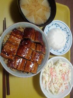 本日の夕食