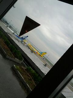 飛行機見学