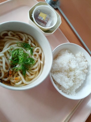 本日の昼食