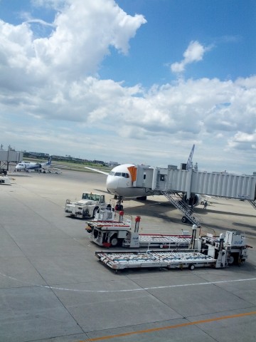 本日の飛行機