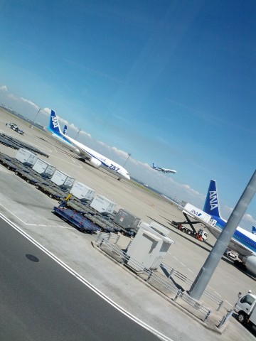 飛行機
