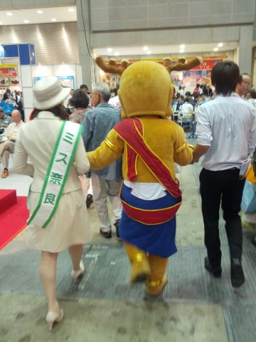 ヤツを発見