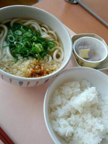 本日の昼食