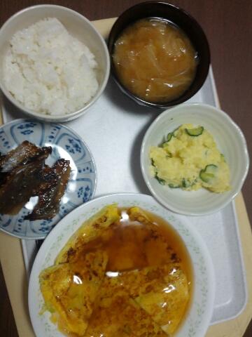 本日の夕食