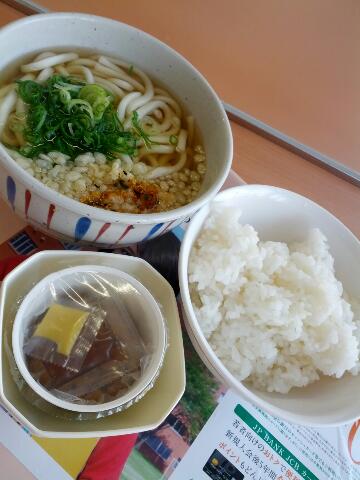 本日の昼食