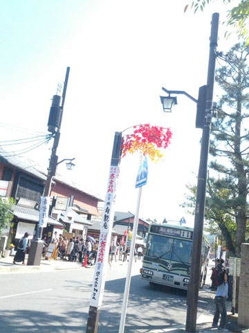 紅葉