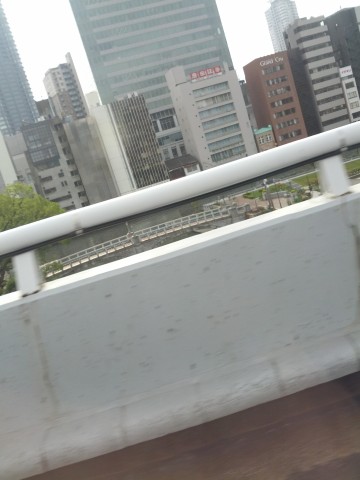あひるちゃん撤去