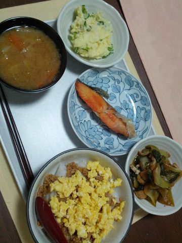 本日の夕食