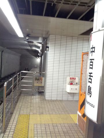 中百舌鳥着