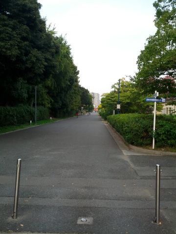 お帰り道路