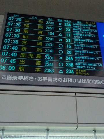 搭乗手続き中断中