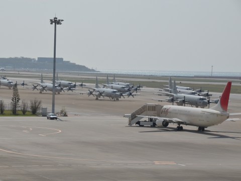 日干しな飛行機
