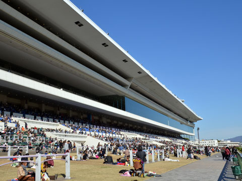 本日の京都競馬場