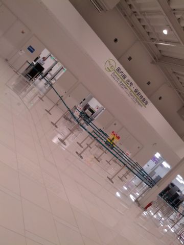 国内線