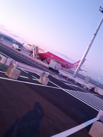本日の飛行機