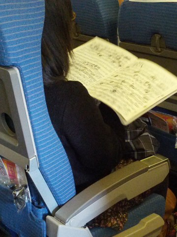 旅行生