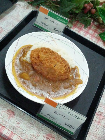 カレーライスとカツカレー