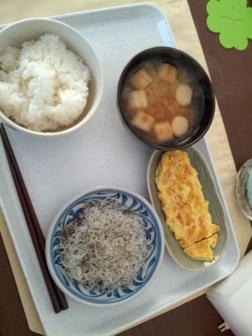 本日の朝食兼昼食