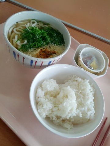 本日の昼食