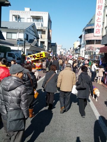 本日の参道