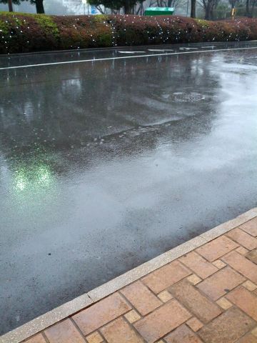 本日の天気