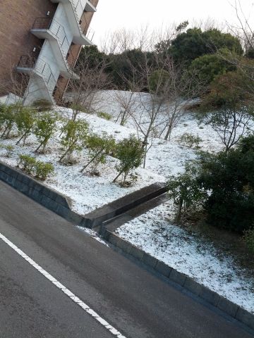 積雪