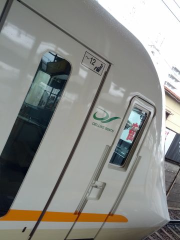 デラックスシートロゴ