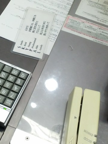 SKYPAL