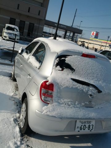 本日の積雪