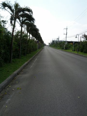 直線道路