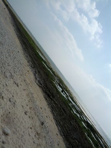海の風景