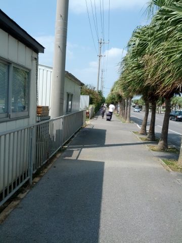 カップルの旅行
