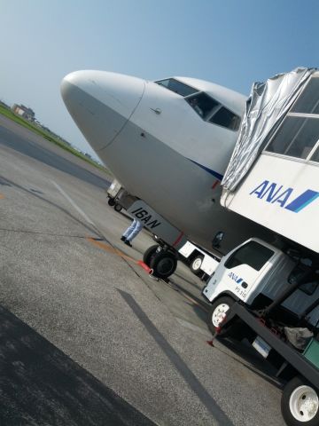 本日の飛行機