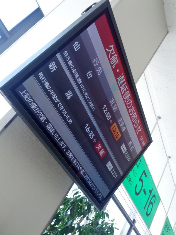 飛行機の手配ができないため