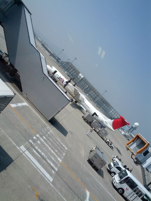 本日の飛行機