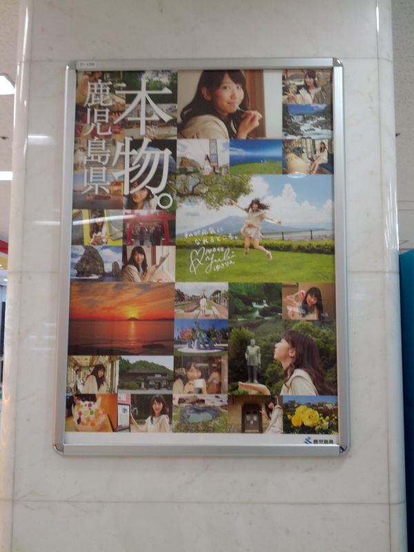 鹿児島県 本物。