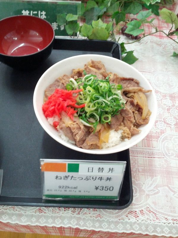 ねぎたっぷり牛丼