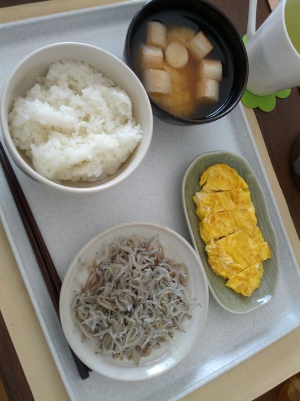 本日の朝食兼昼食