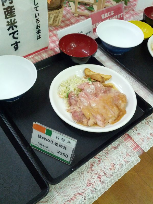 本日の日替丼