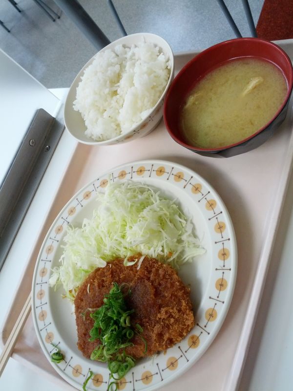 本日の昼食