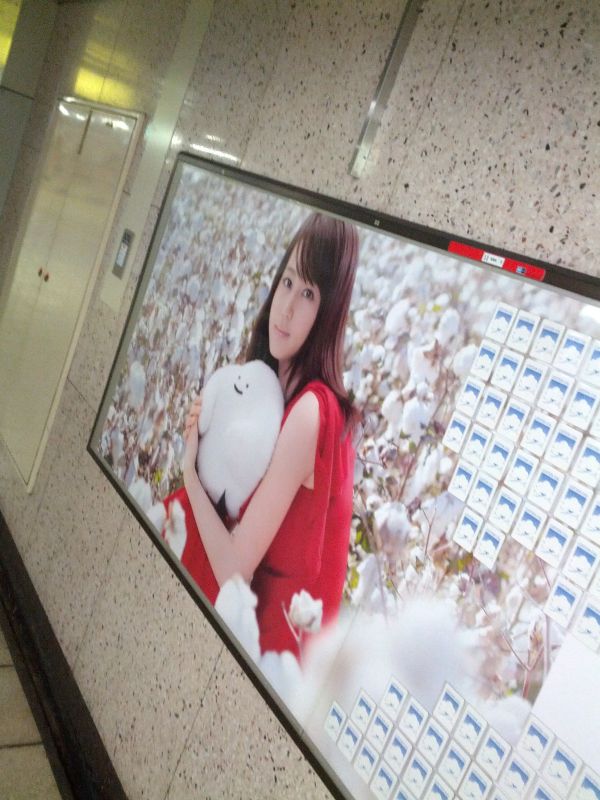 堀北真希