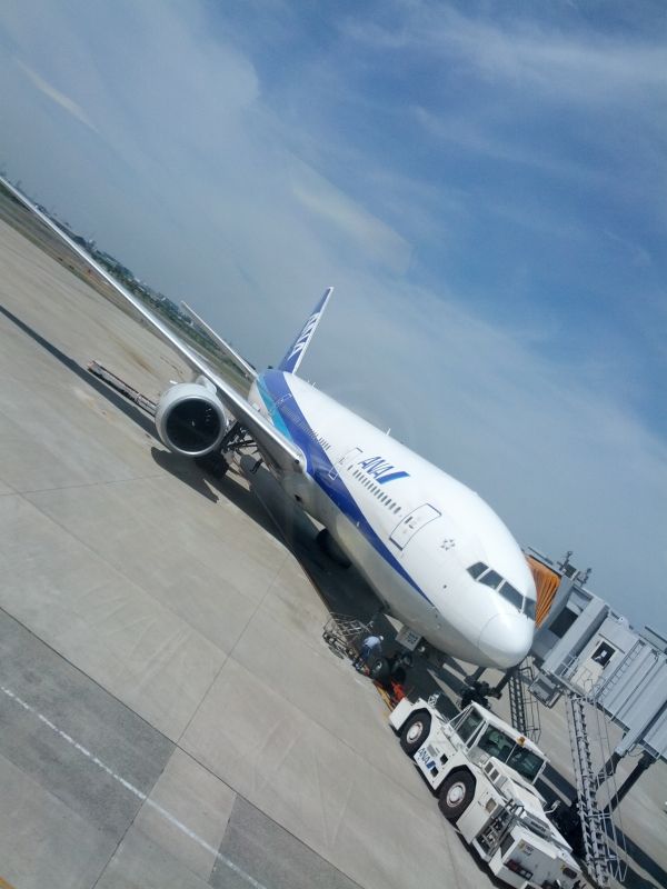 本日の飛行機