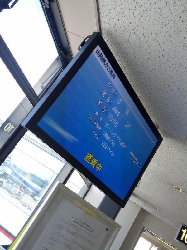 本日のマイル数