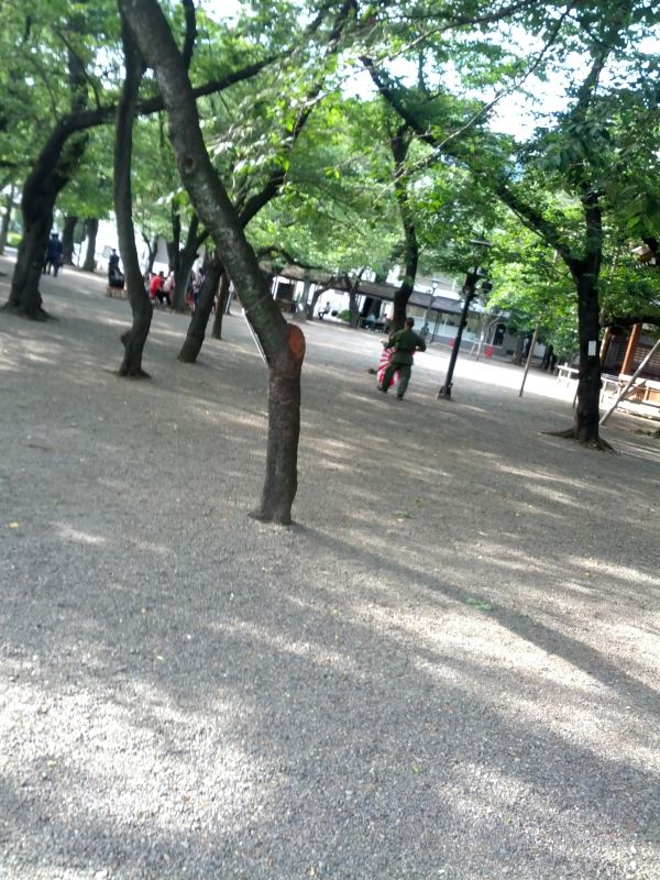 旭日旗