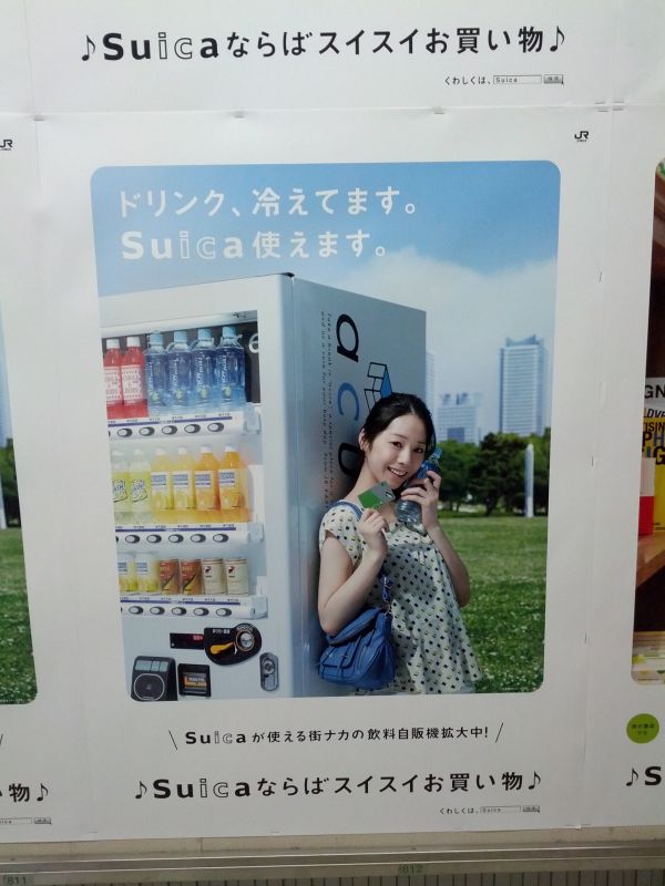 夏帆
