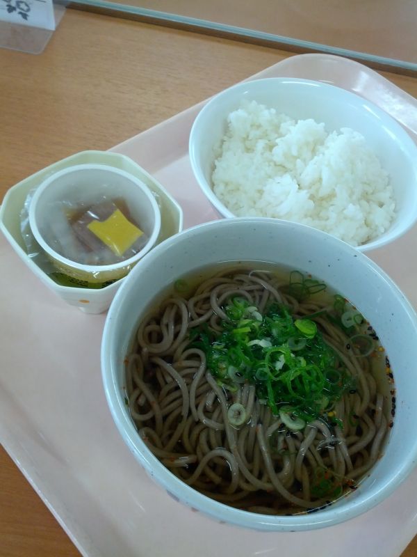 本日の昼食